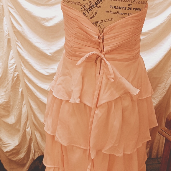 Source Unknown Blush Ruffled Prom Gown - Picture 5 of 14